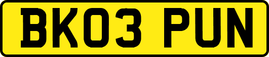 BK03PUN