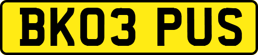 BK03PUS