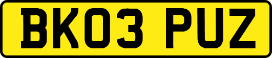 BK03PUZ