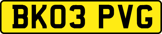 BK03PVG