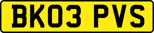 BK03PVS