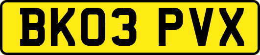 BK03PVX