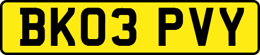 BK03PVY