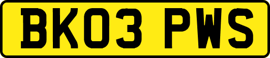 BK03PWS