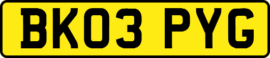 BK03PYG