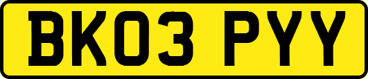BK03PYY