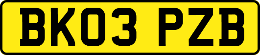 BK03PZB