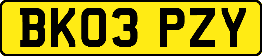 BK03PZY