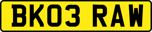 BK03RAW