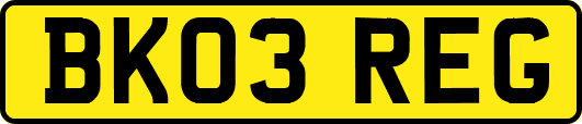BK03REG