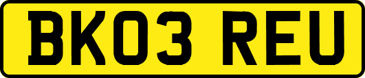 BK03REU