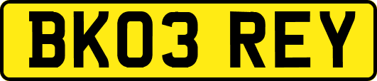 BK03REY
