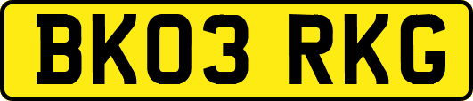 BK03RKG