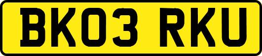 BK03RKU