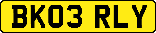 BK03RLY