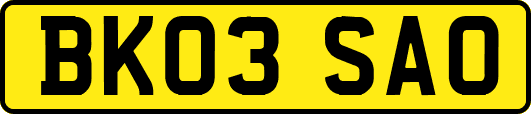 BK03SAO
