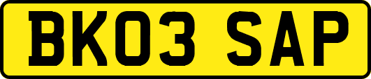 BK03SAP