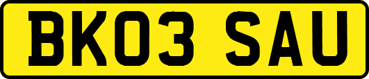 BK03SAU