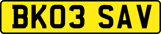 BK03SAV