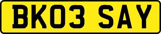 BK03SAY