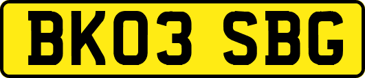 BK03SBG
