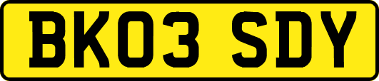 BK03SDY