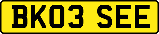 BK03SEE
