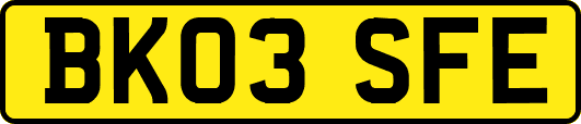 BK03SFE