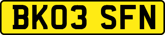 BK03SFN