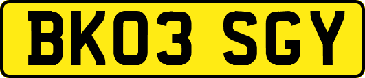 BK03SGY