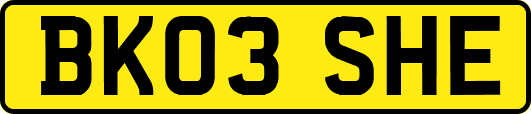 BK03SHE