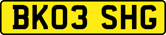 BK03SHG