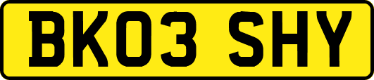 BK03SHY