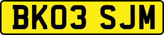 BK03SJM