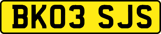 BK03SJS