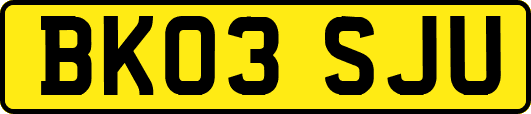 BK03SJU