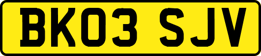 BK03SJV