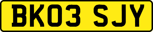 BK03SJY