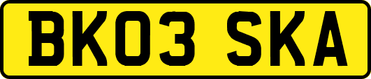 BK03SKA
