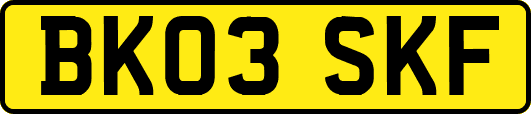 BK03SKF