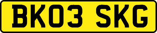 BK03SKG