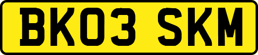 BK03SKM