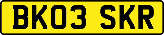 BK03SKR