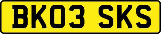 BK03SKS