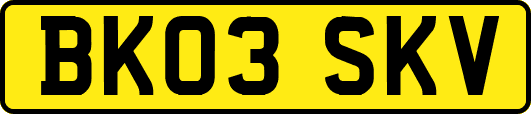 BK03SKV