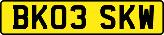 BK03SKW