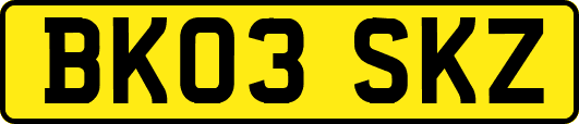 BK03SKZ