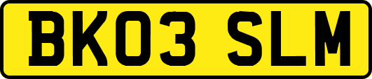 BK03SLM
