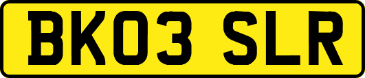 BK03SLR