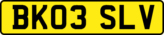 BK03SLV